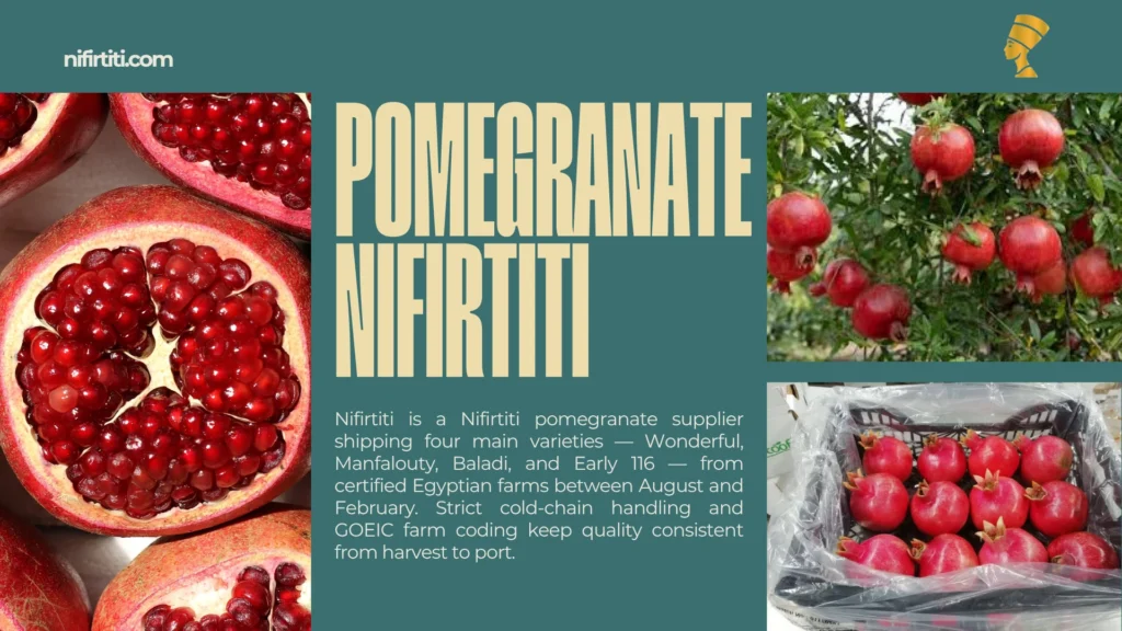 Pomegranate Exporters